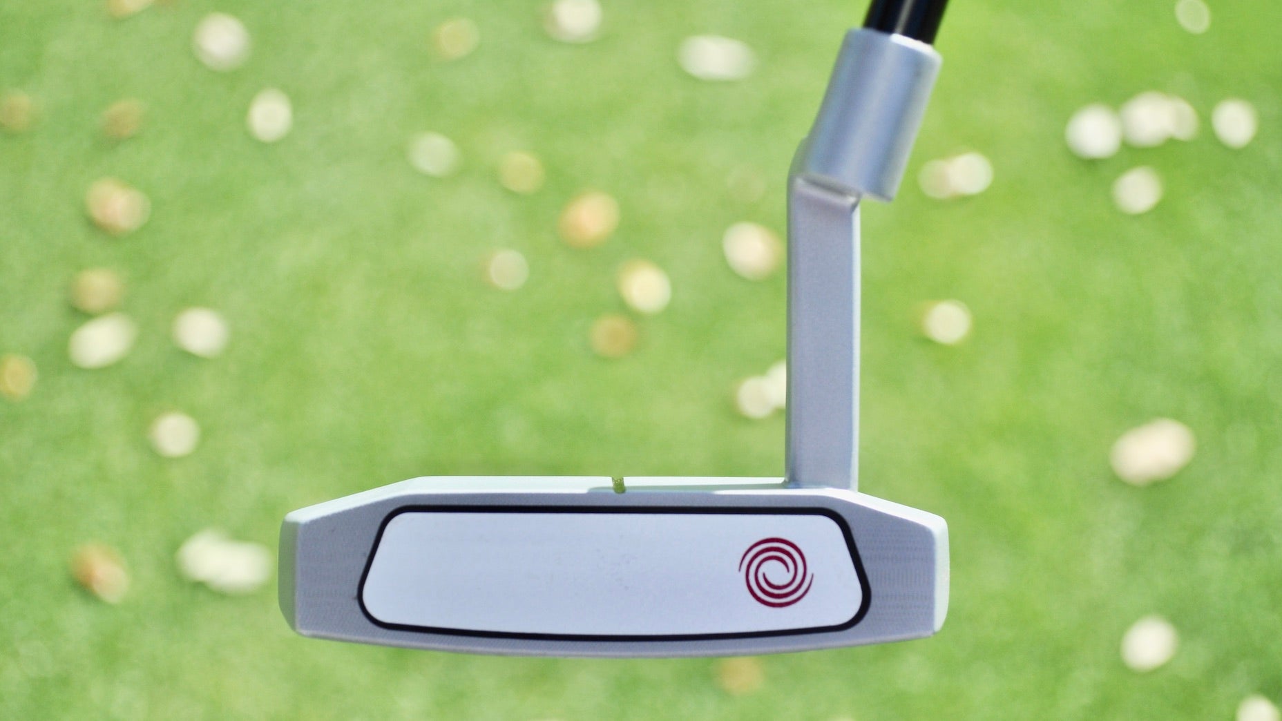 putter odyssey