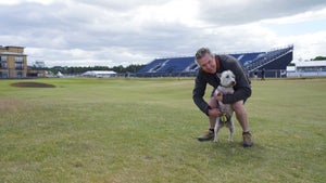 dogs old course st. andrews