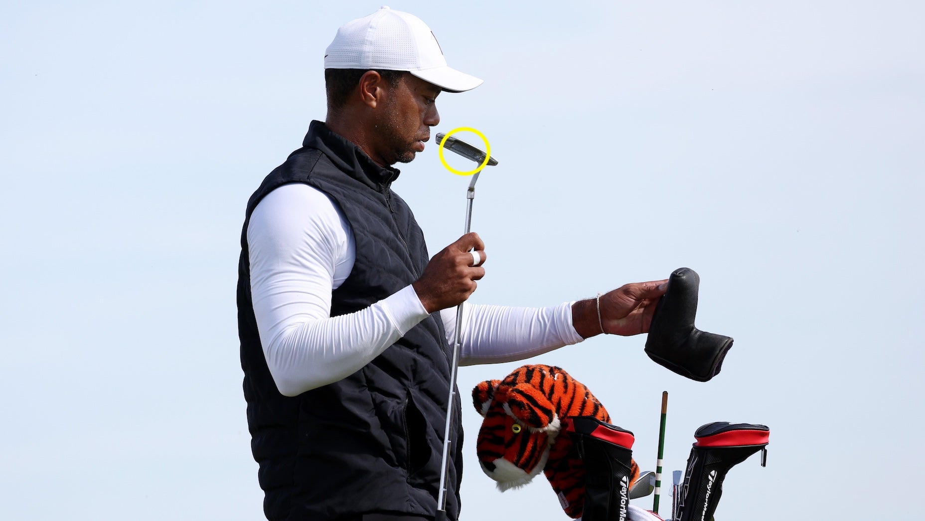 Tiger shop woods gear