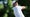 Scottie Scheffler plays tee shot during 2022 BMW Championship