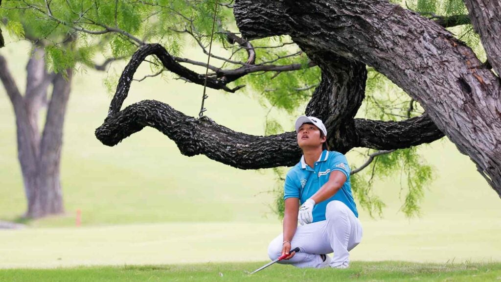 golfer under tree
