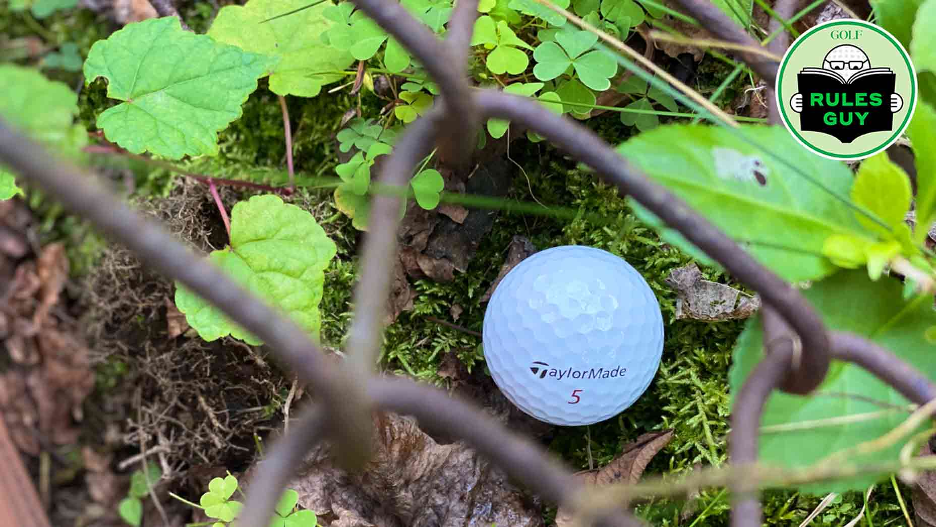 golf ball behind fence
