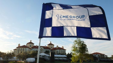 A detail view of a pin flag on the ninth green prior to the CME Group Tour Championship at Tiburon Golf Club on November 15, 2022 in Naples, Florida.