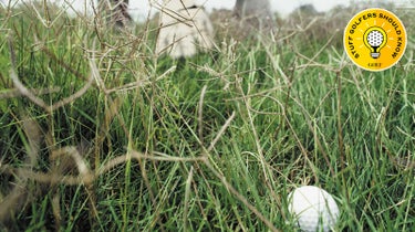 ball in the rough