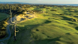 the 3rd hole, and ghost tree, at old macdonald at bandon dunes golf resort.