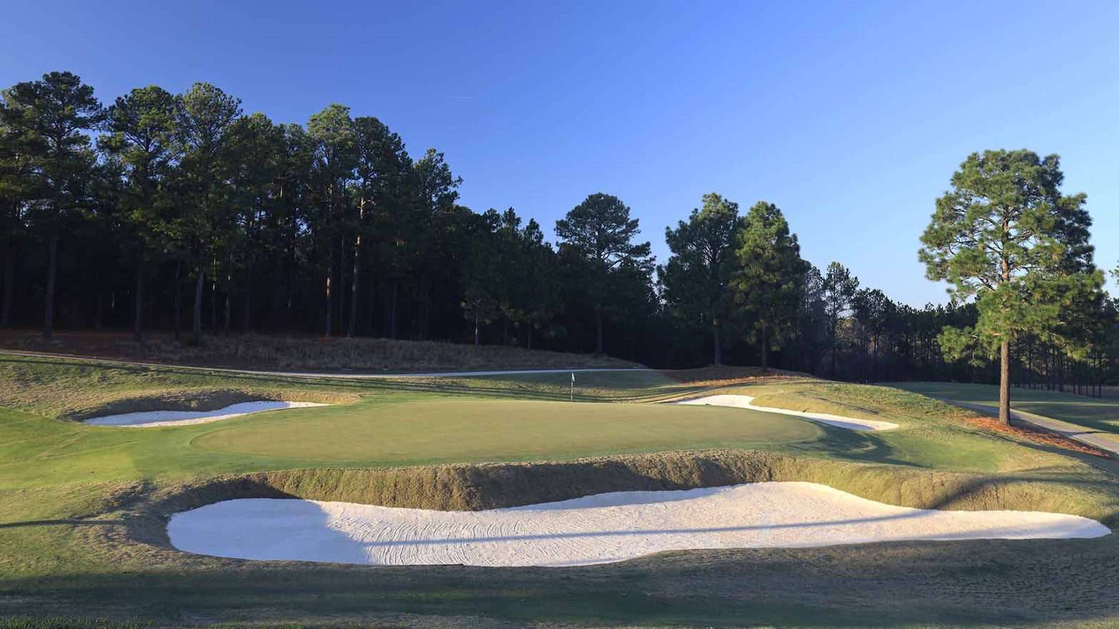 Pinehurst No. 8 firmer and faster after recent facelift