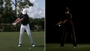 rory mcilroy and tiger woods swing