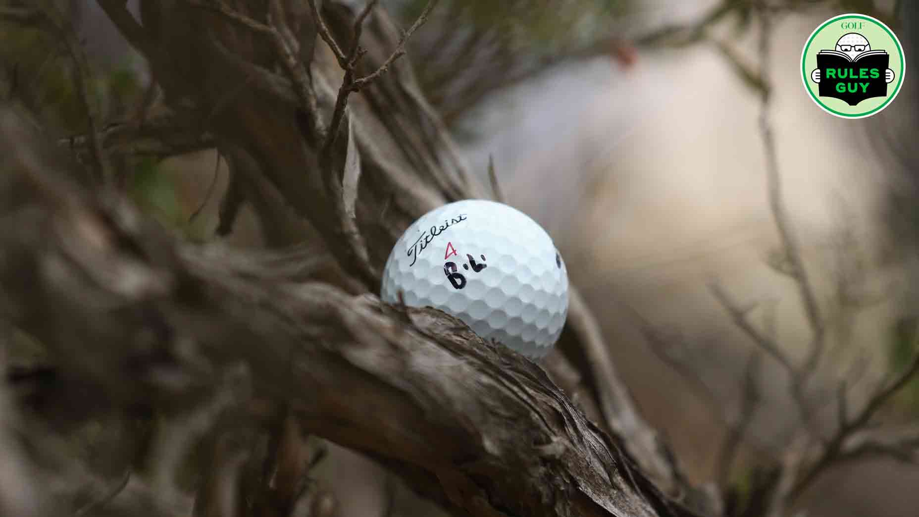 Can you take free relief if a ball lodges into a tree marked as GUR?
