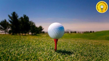 tee golf ball