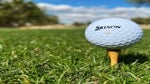 Srixon golf ball teed up on golf course