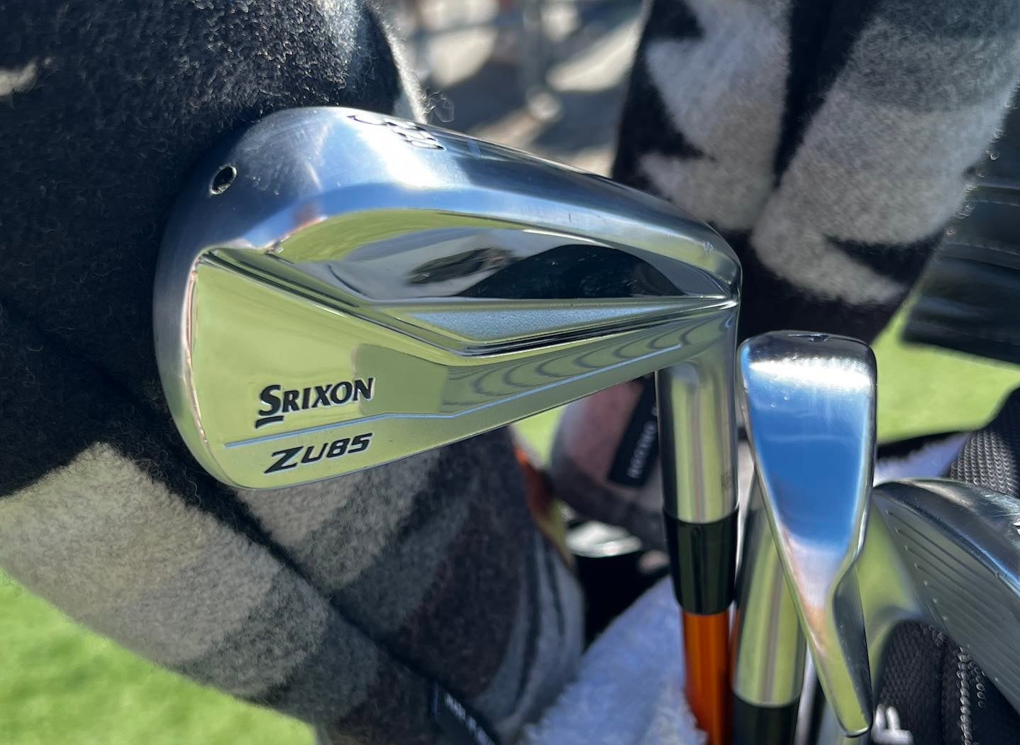 Adam Scott utility