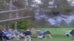 Every video of the Augusta National tree-fall seemed scarier than the last.