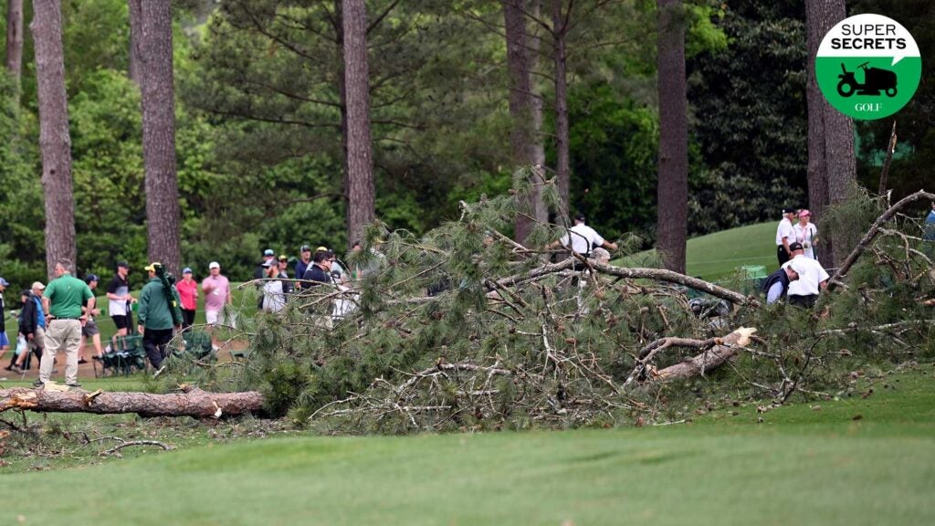 downed tree at augusta national