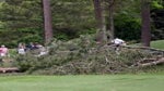 downed tree at augusta national