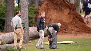 Fallen tree at Masters