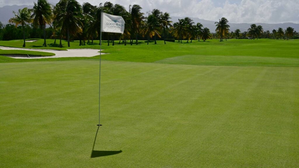 flagstick on the green