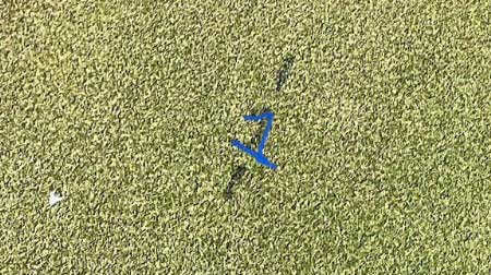 Mysterious markings on PGA Tour practice green pique pro's attention