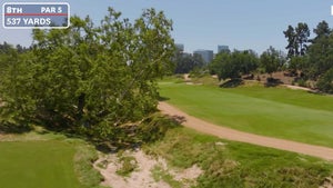 lacc's 8th hole