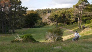 A view of Sea ranch golf links in California.