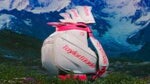 Evian Taylormade bag alps