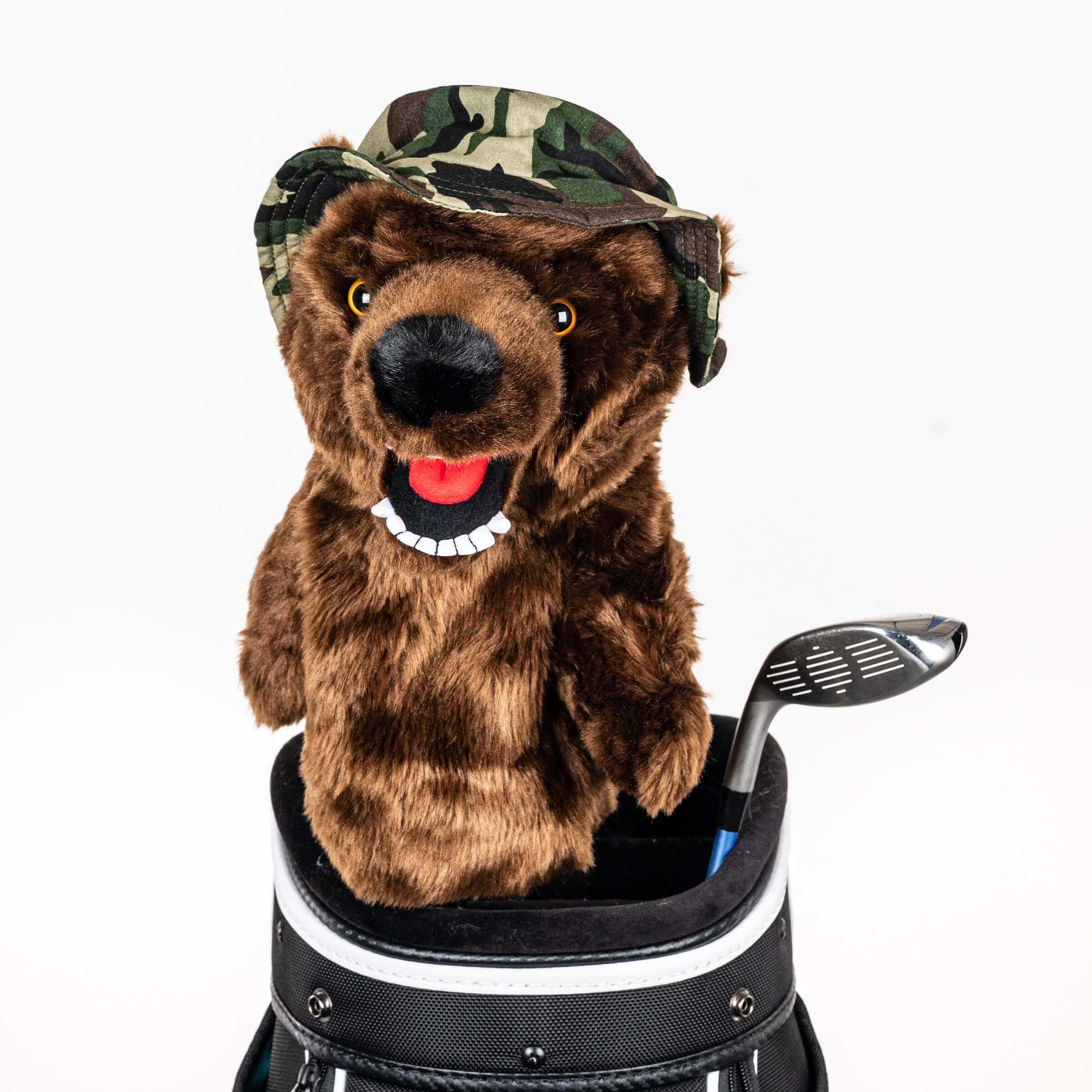 Veteran Bear 