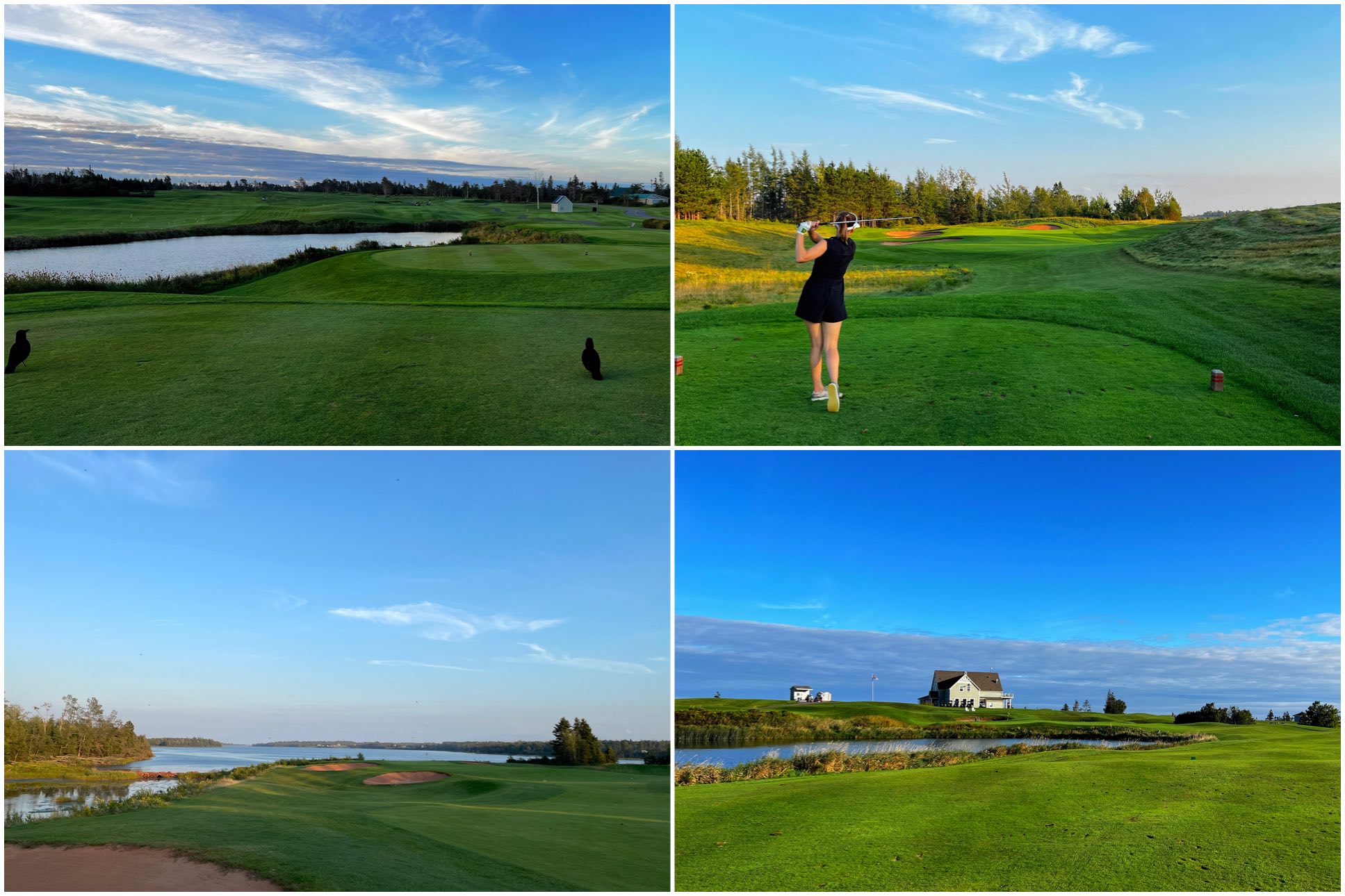 PEI Collage golf