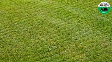 5 diabolical ways superintendents can push golf courses to the edge 1 aerated green