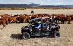 Cattle roundups are among the many unique experiences on offer outside of golf at Silvies Valley Ranch