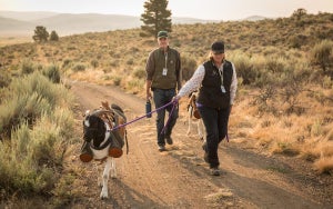 Goat caddies at Silvies Valley Ranch