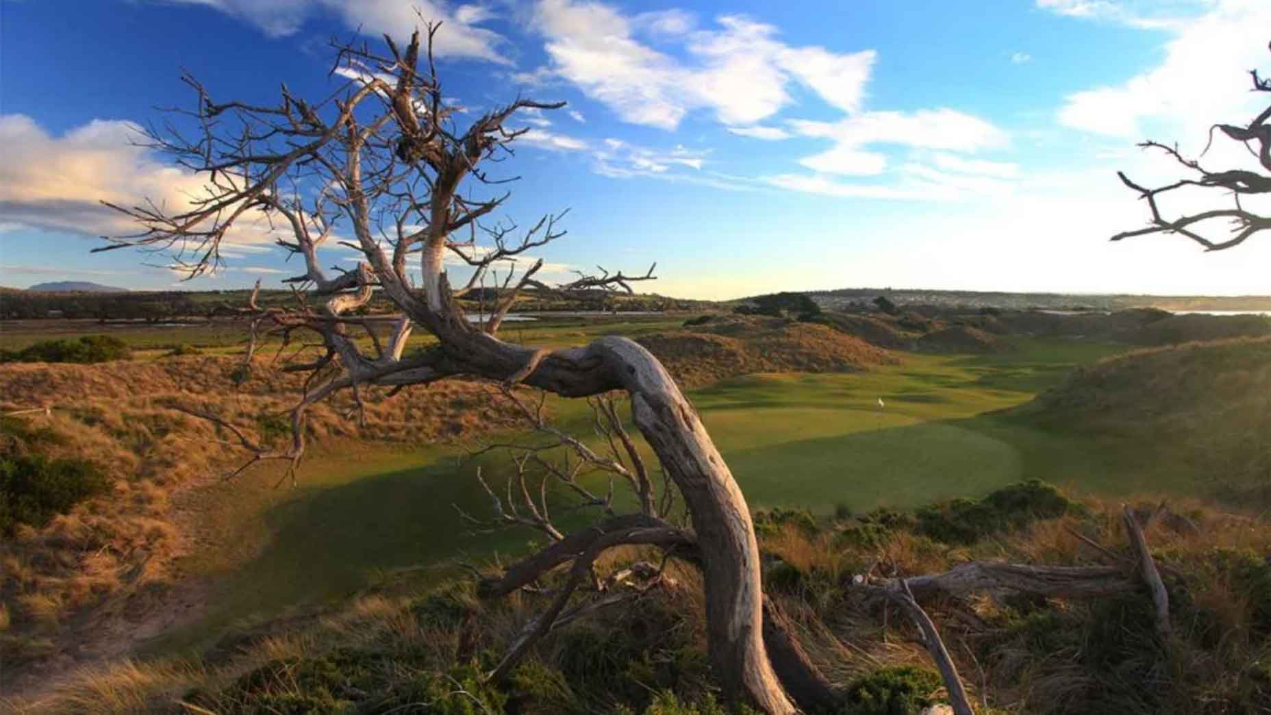 Barnbougle Dunes