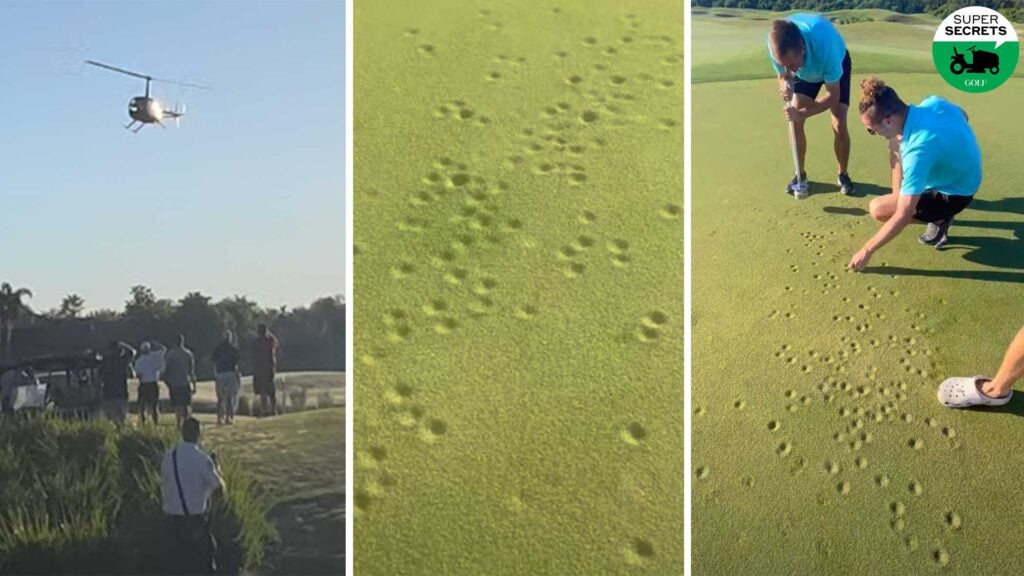 golf ball-pocked green at florida golf course