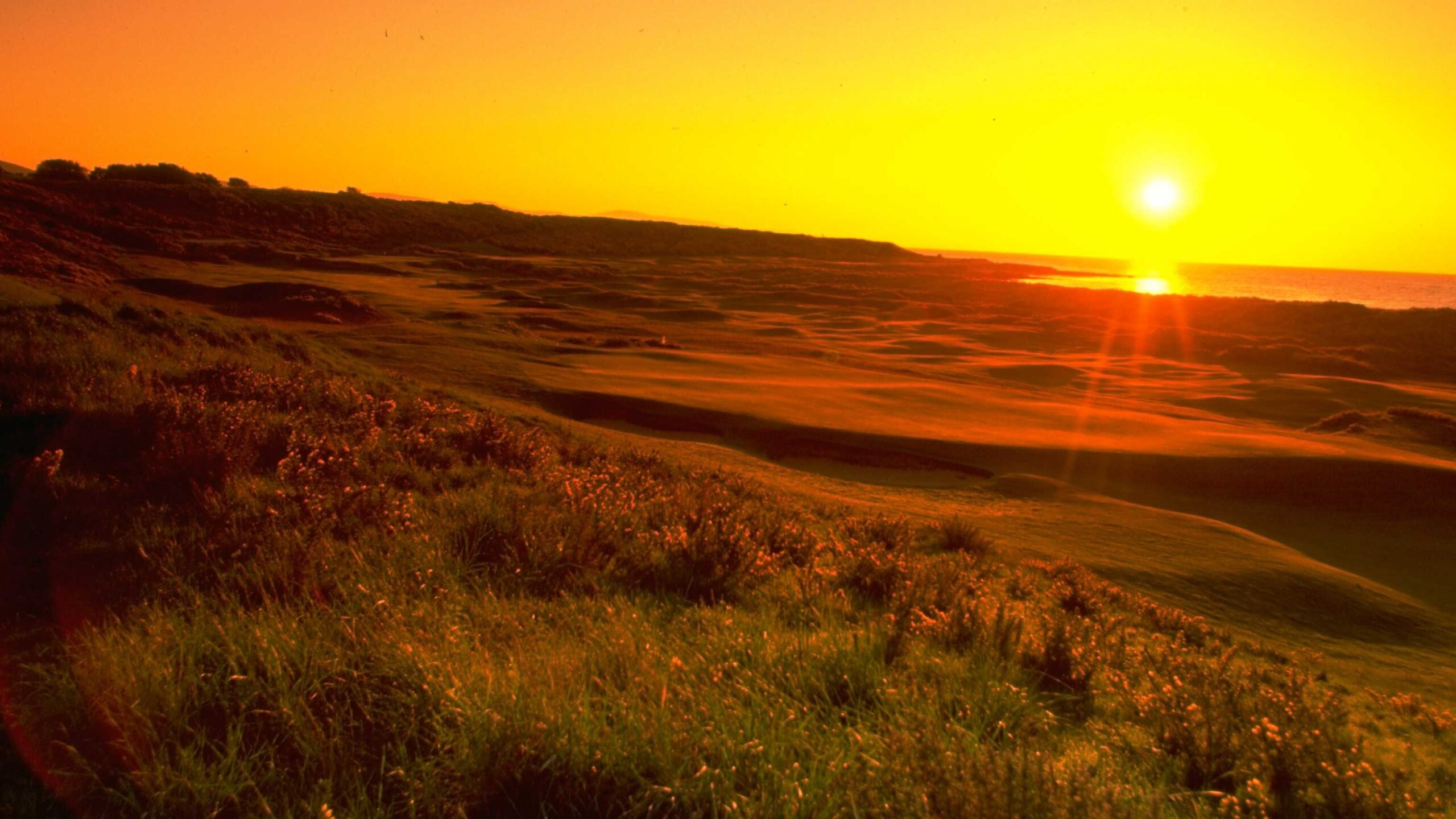 royal dornoch