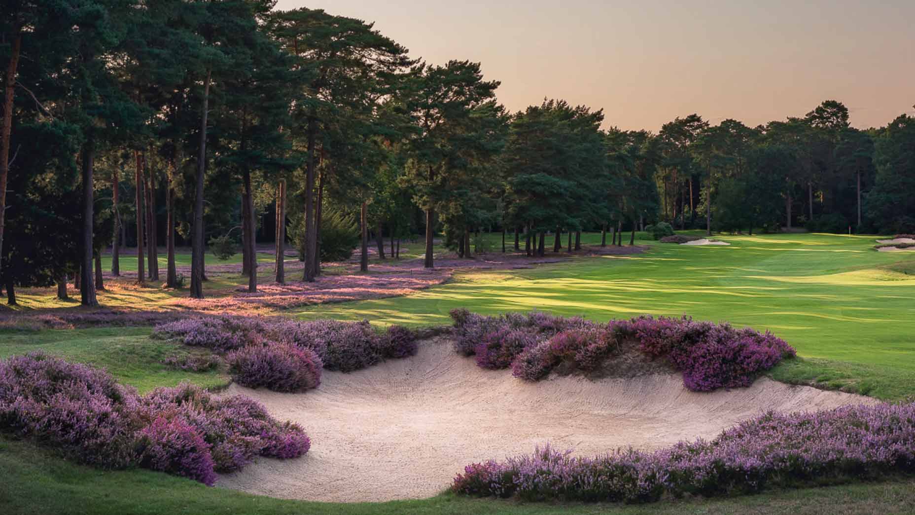 st george's hill golf club