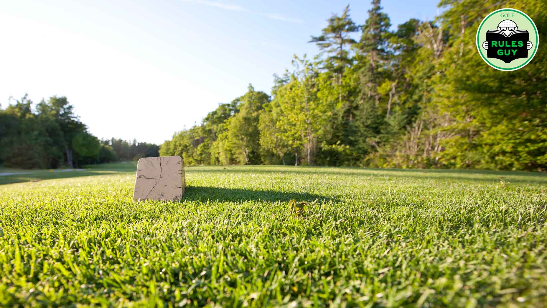 A view of a tee box on a non-descript golf course