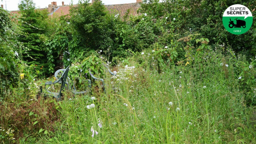 Garden overgrown with weeds and plants patio chairs obscured by overgrowth