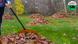 gardener raking piles of leaves in yard