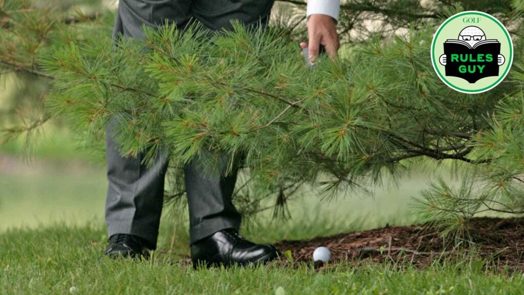 Rules Official Dillard Pruitt checks the line of sight on an errant ball during the first round of the Buick Championship held at TPC River Highlands in Cromwell, Connecticut, on June 29, 2006.