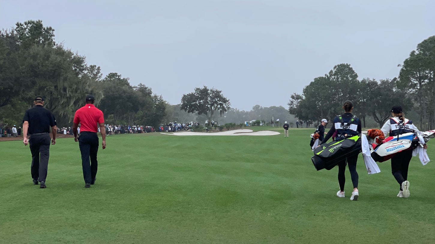 Steve and Bobbi Stricker, Tiger and Sam Woods