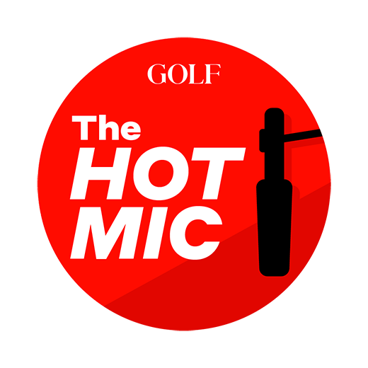 is called microphone logo