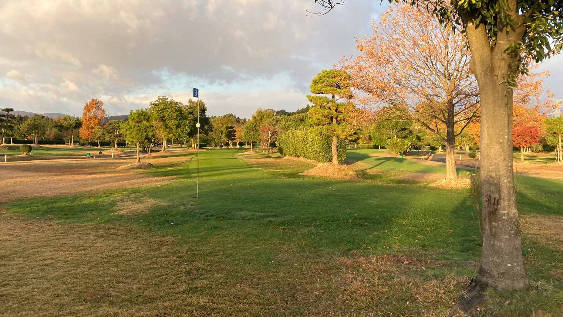 a golf hole at the All-Japan Park Golf Championship