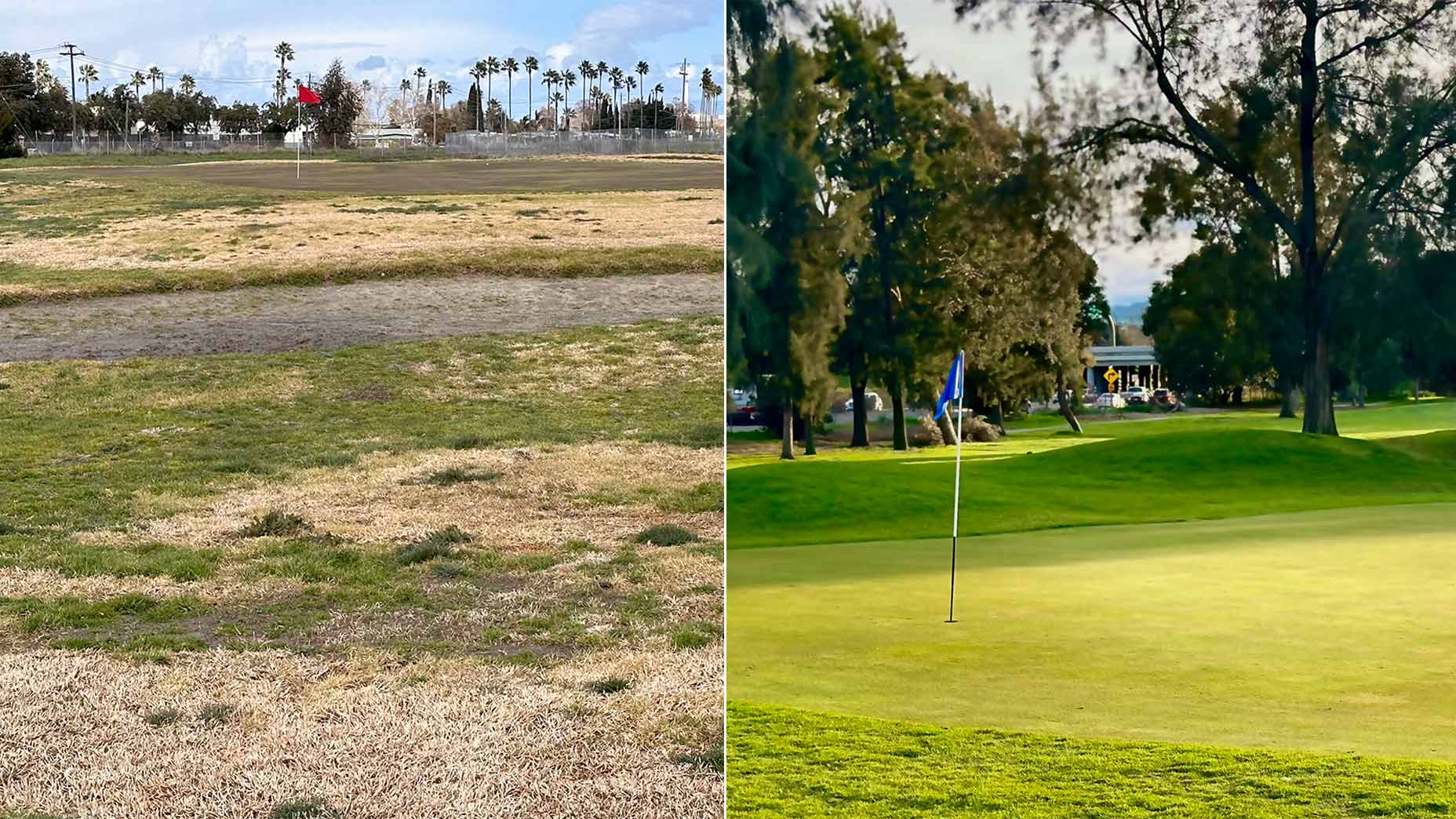 A before (left) and after look at Buchanan since the new owners took over.