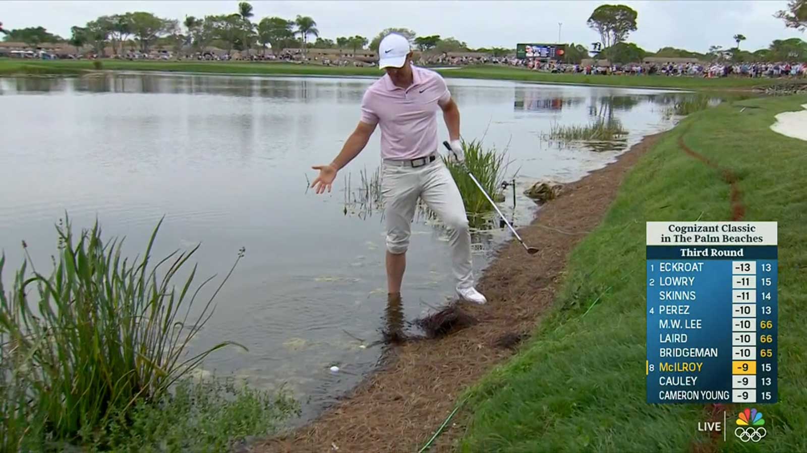Rory McIlroy stands in pond at 2024 Cognizant Classic as golf ball roles into water