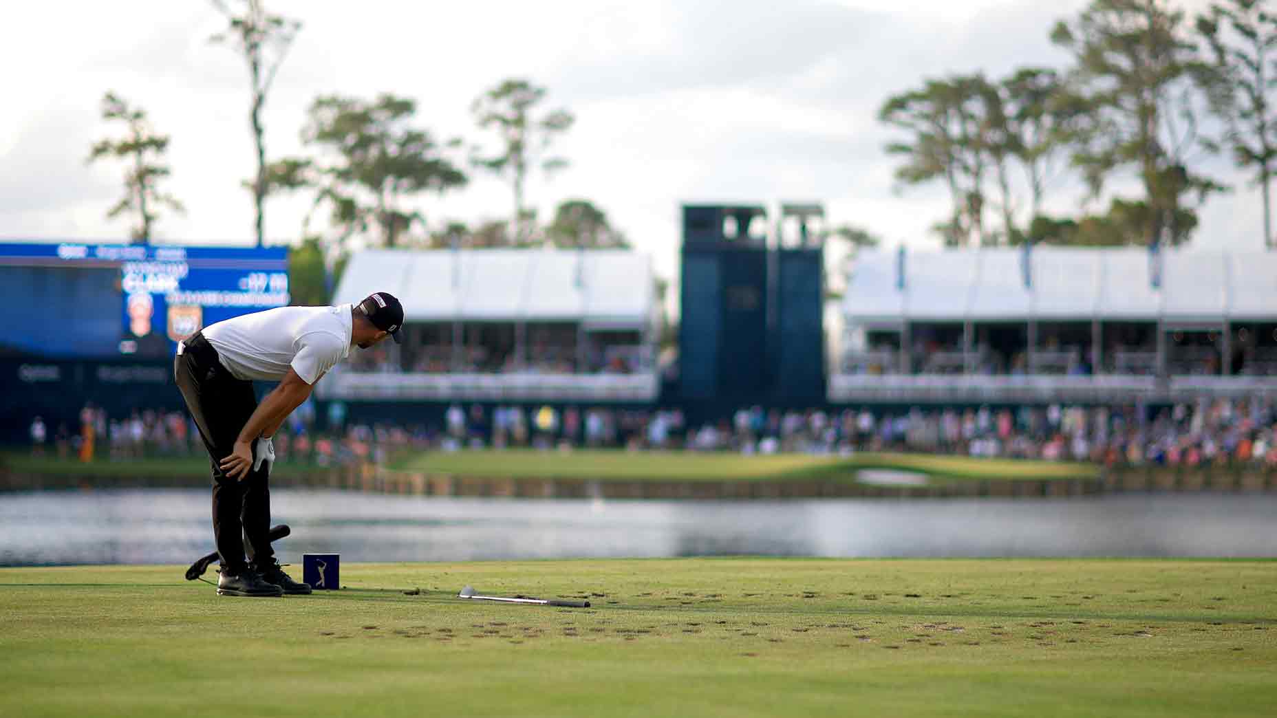 The Bachelor's Chris Harrison shares dating advice with Michelle Wie Golf