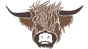 Old Petty's logo is a tribute to a Scottish cow