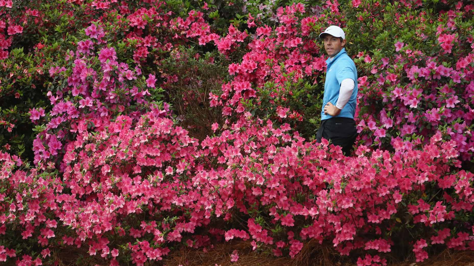 Rory McIlroy of Northern Ireland prepares to play a shot out of the flowers on the 13th hole during the third round of the 2018 Masters Tournament
