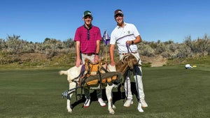 Jack Hirsh and Kyle Koziol with their goat caddie Harry.