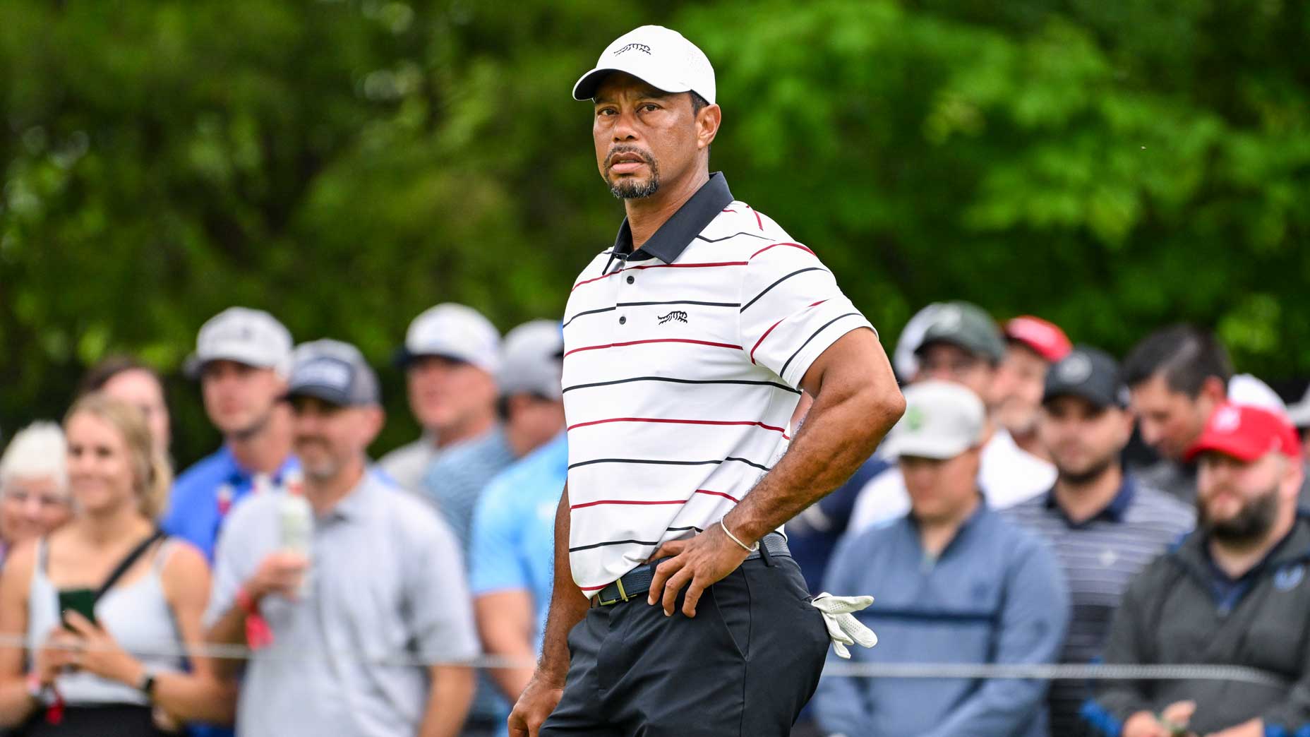 Tiger Woods at the 2024 PGA Championship.