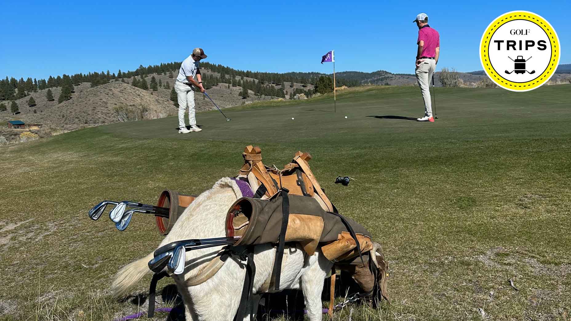 Jack Hirsh and Kyle Koziol with their goat caddie Harry.
