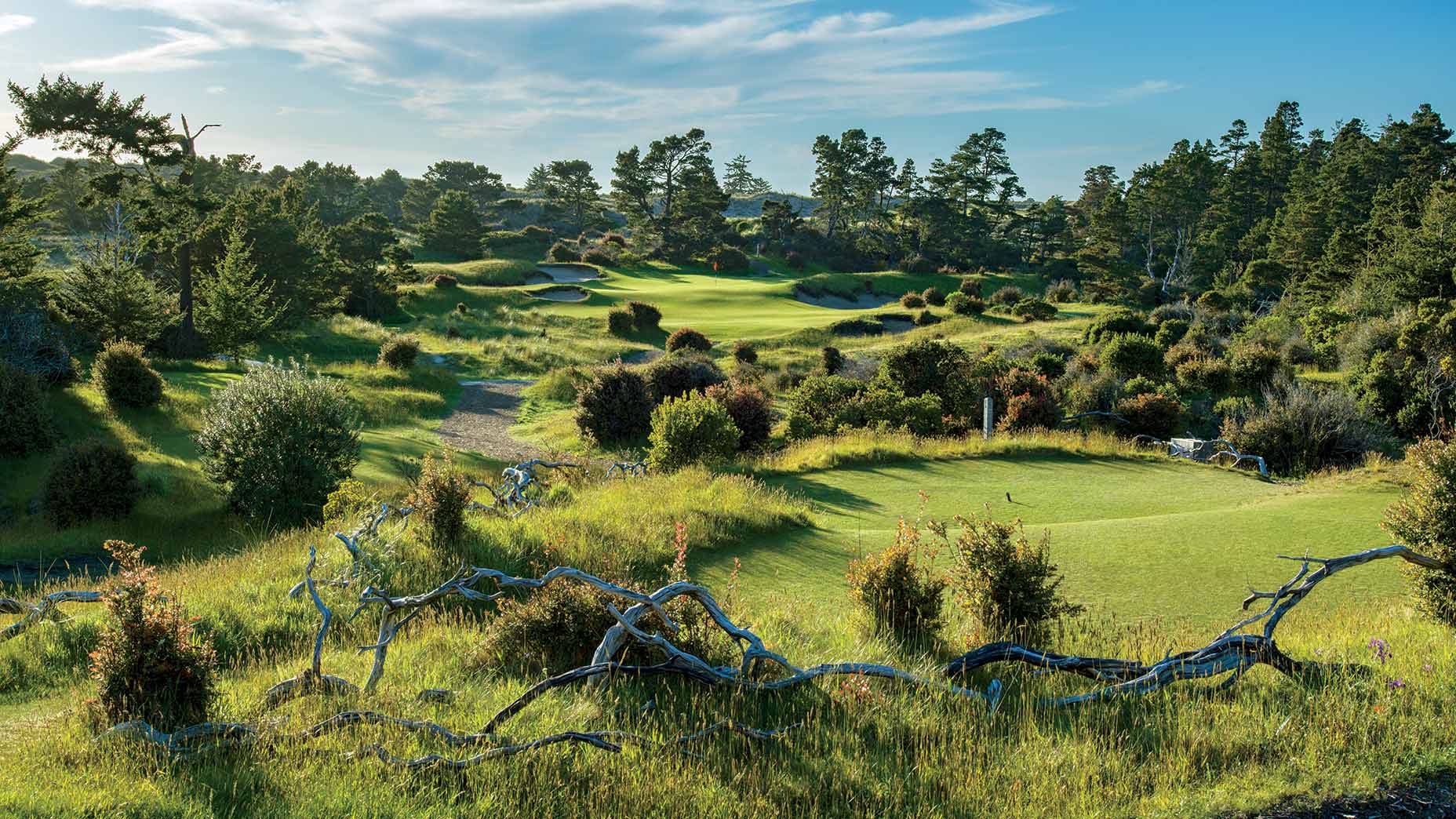 the par-3 17th hole at bandon trails