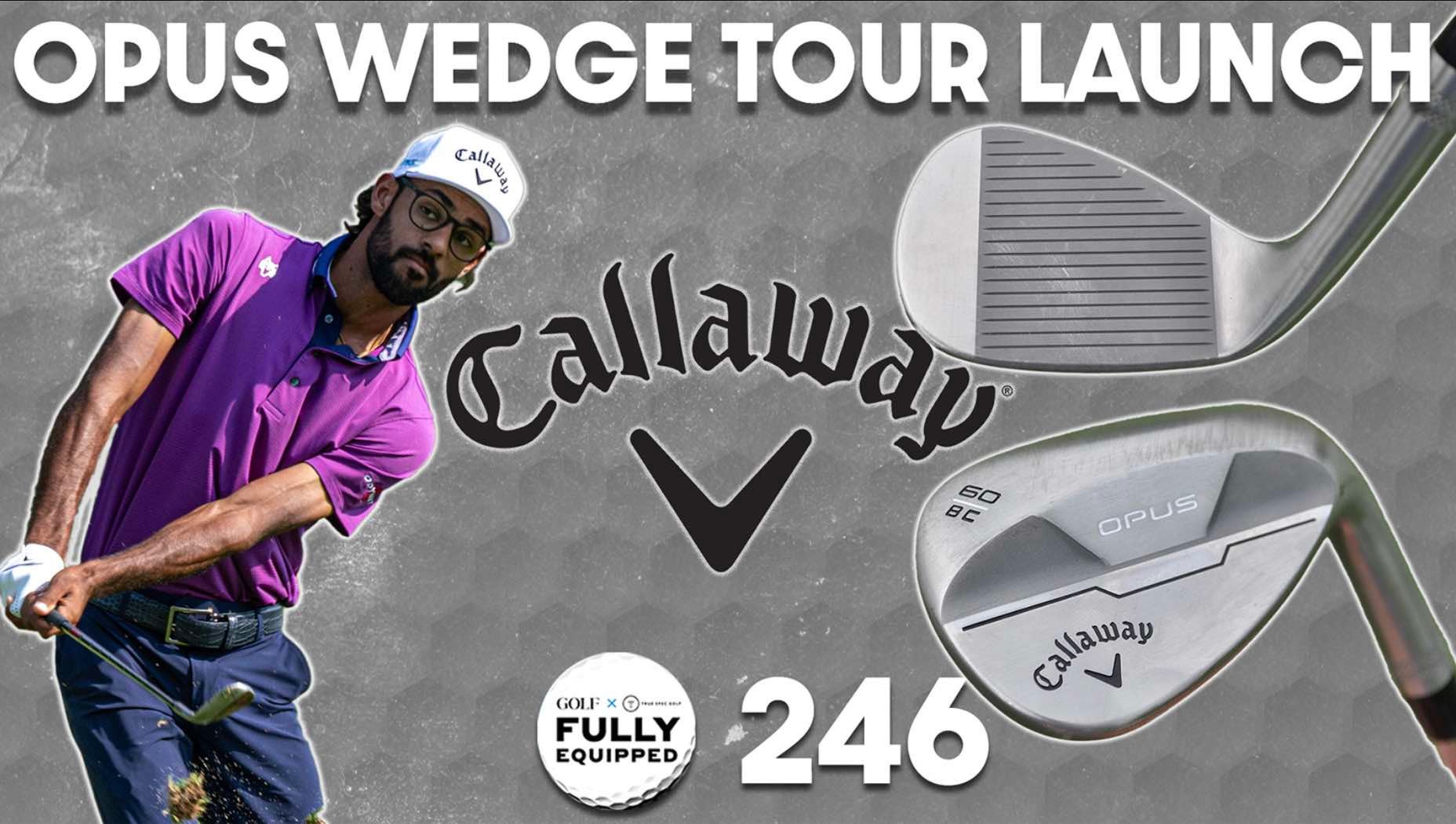 Fully Equipped Wedges callway